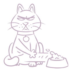 Ernährung und Katzenfutter