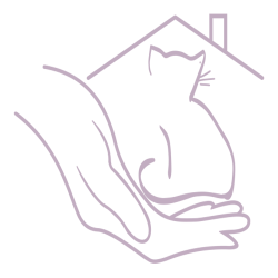 Basics für Katzeneltern