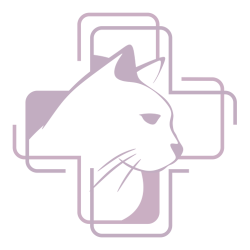 Gesundheit der Katze